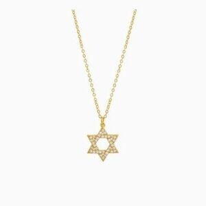 New Adina Eden Pavé Star Of David Pendant Necklace